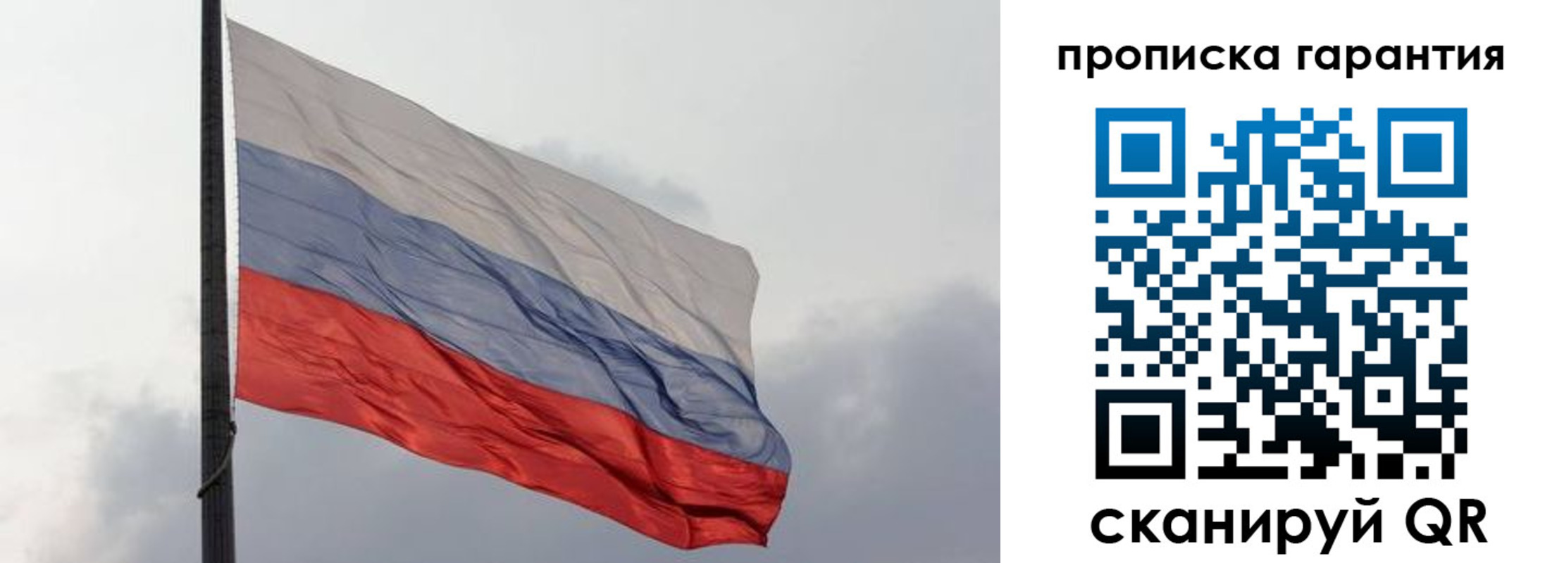 временная регистрация поиск в Щиграх